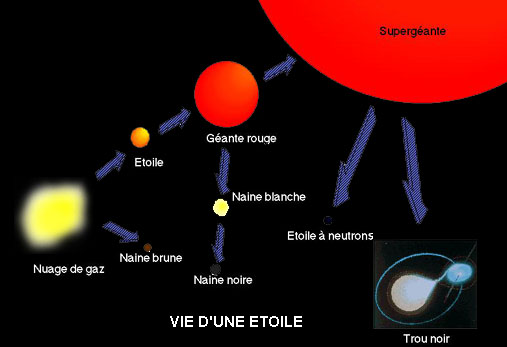 schema.jpg (27951 bytes)